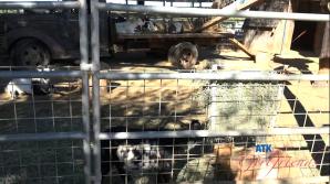 Dez Hansen Farm Date Part 1