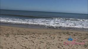 Fae Love Paradise Cove Part 1