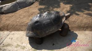 You hit the zoo, then Riley's pussy!